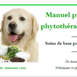 Couverture Manuel Phyto