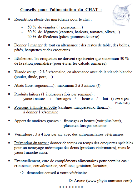 Fiche pratique Alimentation chat