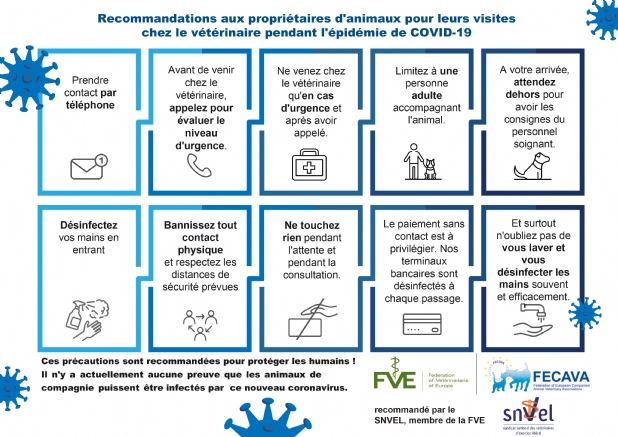 Instructions veterinaires Covid-19