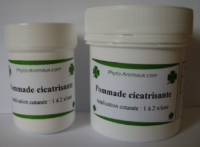 Pommade cicatrisante