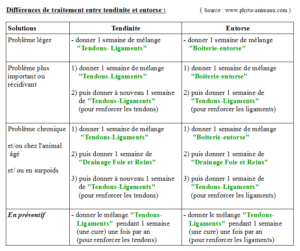 Tableau différences traitements entorse tendinite animal