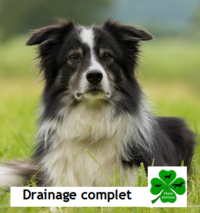 Drainage complet